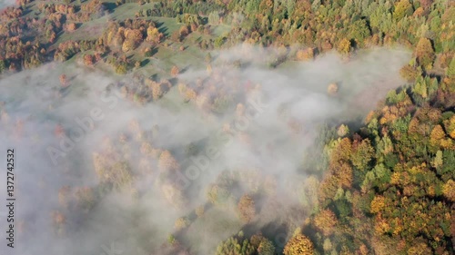 Aerial View of Misty Autumn Forest