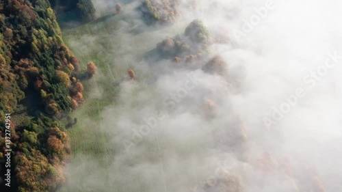 Aerial View of Fog Over Forest and Fields