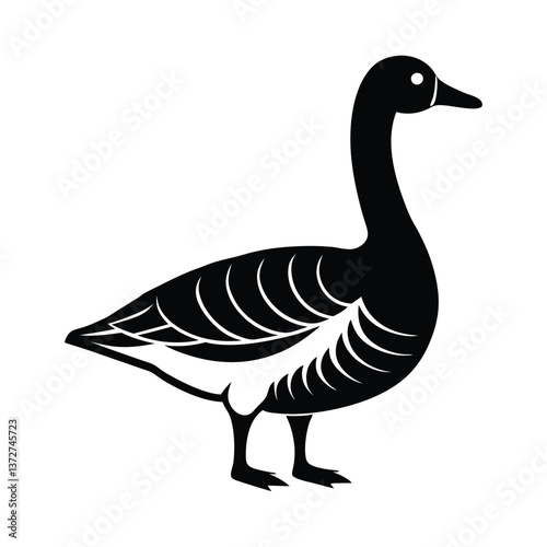 goose isolated on white background