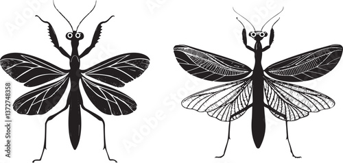 Mantis spreading wings silhouette vector design with white background..