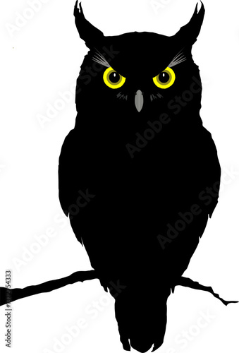 Wallpaper Mural A black owl with yellow eyes Torontodigital.ca