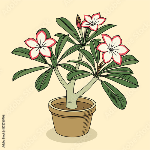 A vibrant digital illustration of an adenium plant in a pot, showcasing its beautiful flowers and thick trunk. Ideal for botanical designs, home decor, and plant enthusiasts.