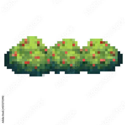 Bush