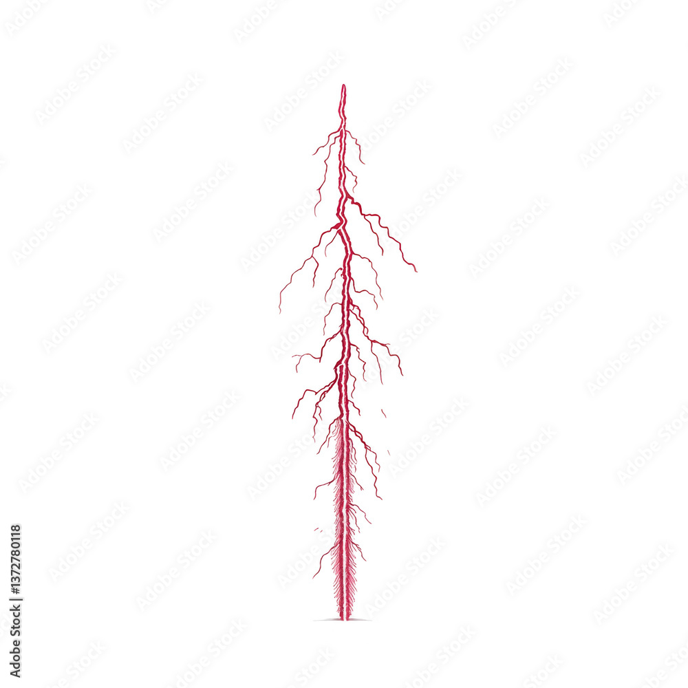 A red sprite lightning phenomenon is captured against dark sky, showcasing its intricate, branching structure. This rare atmospheric event is both fascinating and visually striking A red sprite lightning phenomenon is captured against dark sky, showcasing its intricate, branching structure. This rare atmospheric event is both fascinating and visually striking