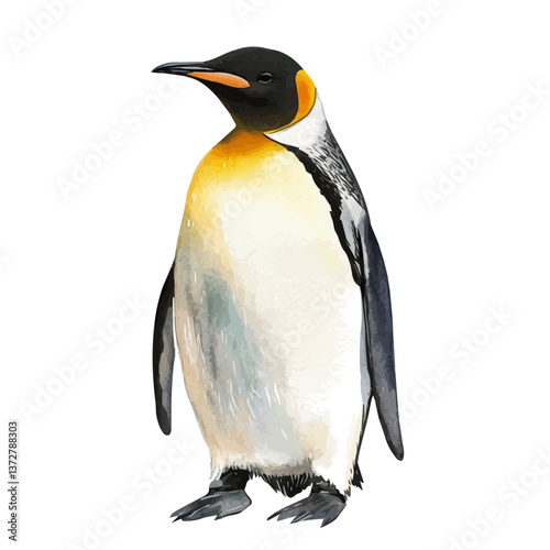 A watercolor vector of an emperor penguin, isolated on a white background. Emperor penguin vector.


