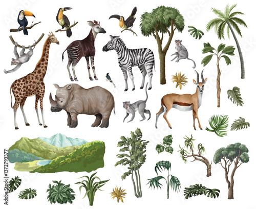 Jungle animals and trees isolated. Palm trees, giraffe, okapi, zebra etc. Vector.