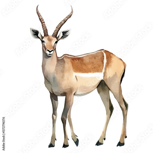 A watercolor vector of an eland, isolated on a white background. Eland vector.

