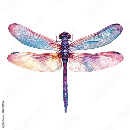 A watercolor vector of a dragonfly, isolated on a white background. Dragonfly vector.

