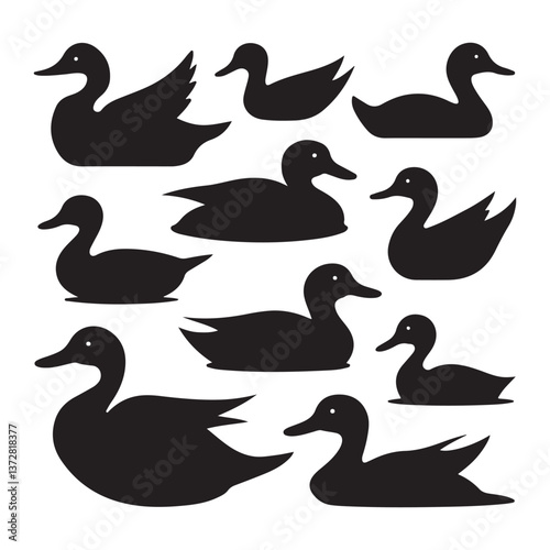 set of ducks