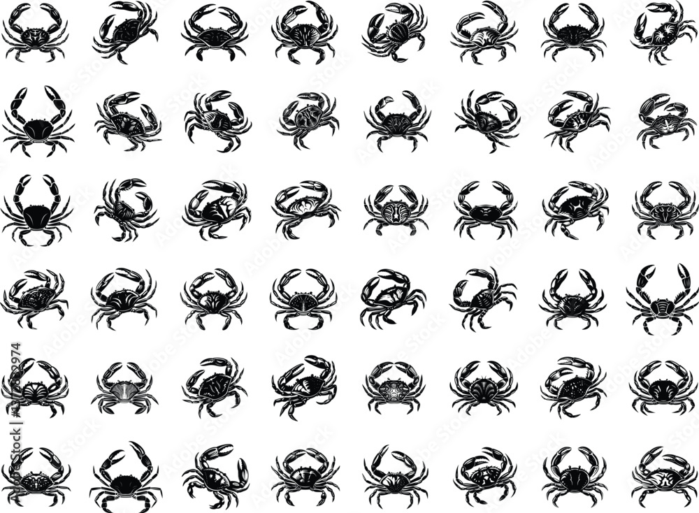 Fototapeta premium Crab SVG Bundle