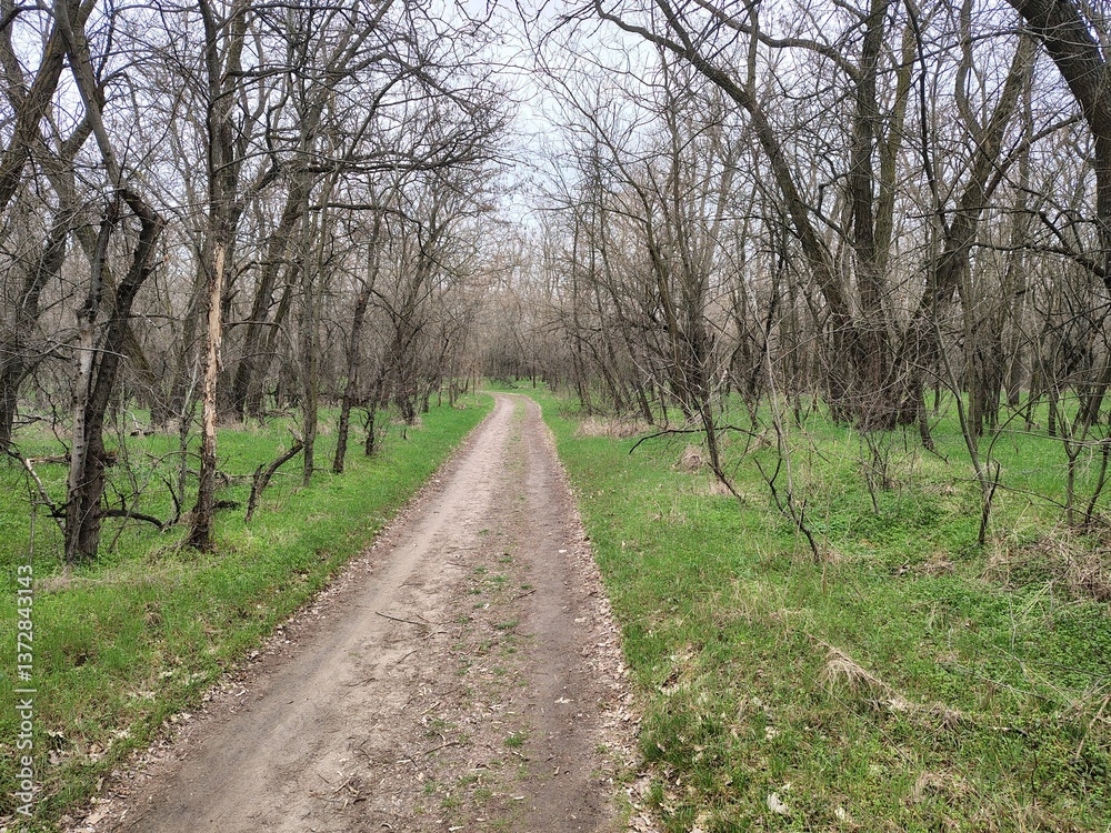 Obraz premium nature