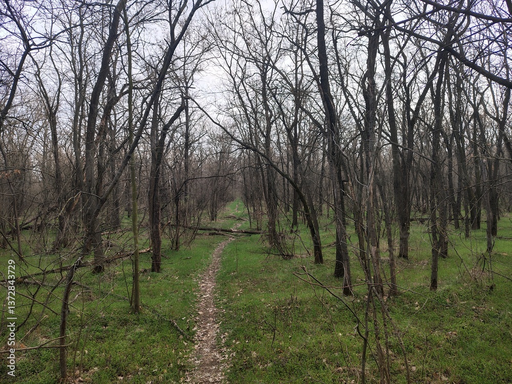 Obraz premium nature