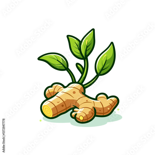 Vector illustration of fresh ginger root with green shoots. Perfect for cooking ingredient guide, herbal medicine article, or Asian cuisine recipe illustration.