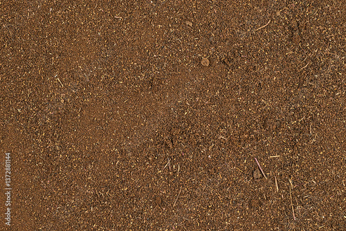Close-up view of a land surface with detailed textures in brown tones