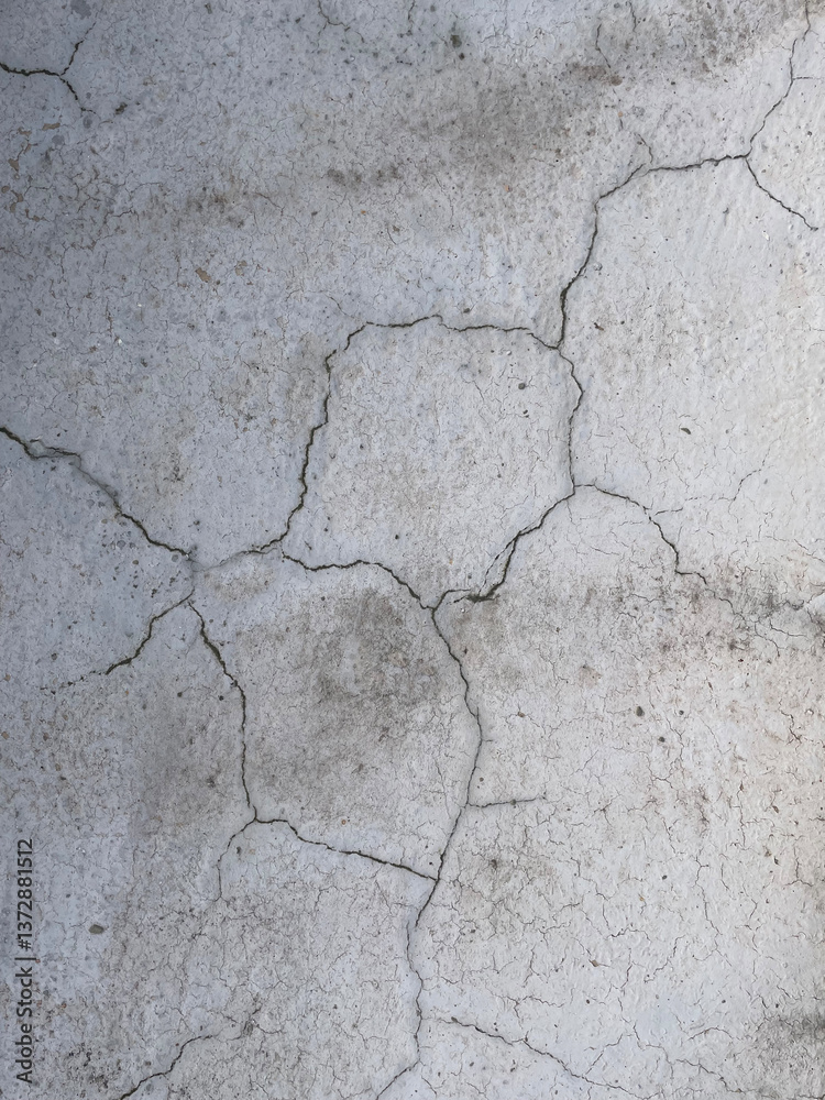 Obraz premium Deep cracks in the floor, close-up. Damaged floor, old surface. Signs of deterioration of the wall or floor covering in the building.