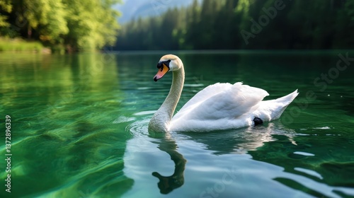 Fototapeta Naklejka Na Ścianę i Meble -  A graceful swan glides through crystal clear lake waters, surrounded by lush greenery, embodying tranquility and beauty in nature's serene landscape under soft sunlight.
