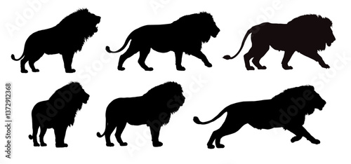 set of african lion silhouettes - vector illustration
