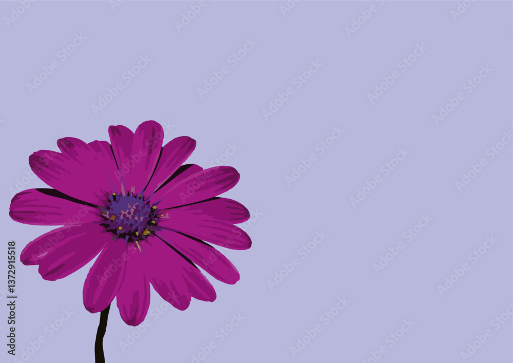 Flor com muitas pétalas para enfeitar os jardins das casas