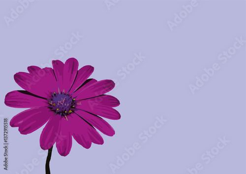 Flor com muitas pétalas para enfeitar os jardins das casas
