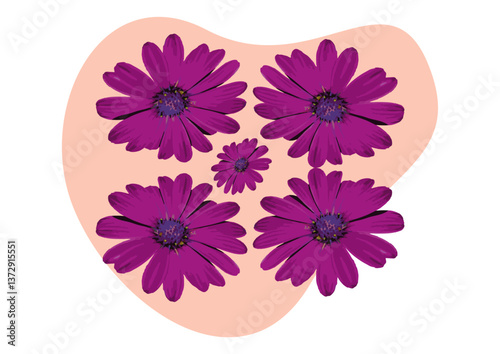 Flor com muitas pétalas para enfeitar os jardins das casas