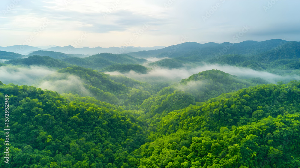 Dramatic Overcast Mountain Landscape Shrouded in Billowing Clouds Dramatic Overcast Mountain Landscape Shrouded in Billowing Clouds