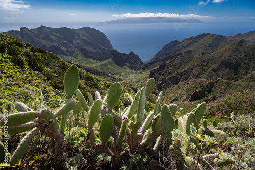 Obraz na płótnie Cacti and Masca Gorge in the distance the island of La Gomera, Tenerife. w salonie