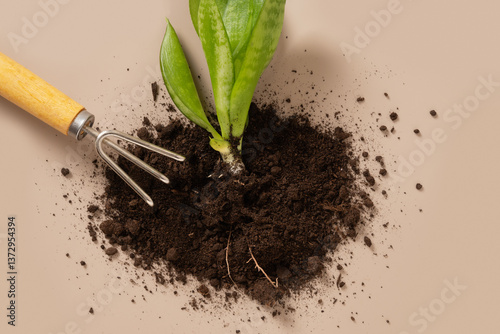 Obraz na płótnie Concept season work and hobby. Various hand tools, plant and soil on beige background. Spring gardening. Copy space. Top view. w salonie