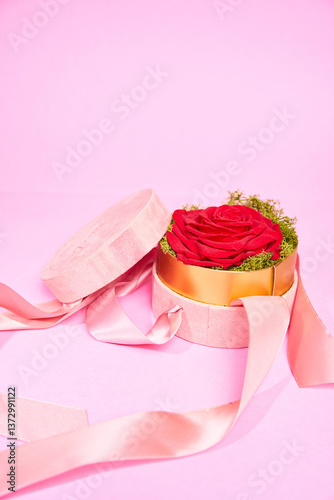 Wallpaper Mural Rose flower in a round box on a pink backdround Torontodigital.ca