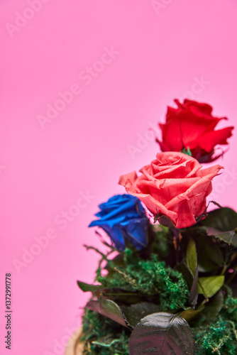 Wallpaper Mural Rose flower in a round box on a pink backdround Torontodigital.ca
