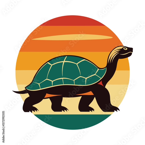 turtle on a white background
