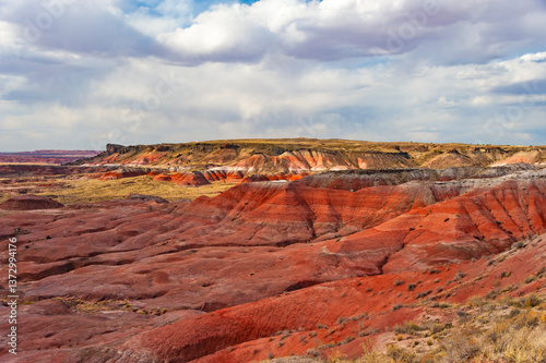 Petrified forest National Park, located in Arizona, is best known for Painted Desert and fossils.