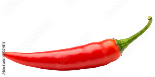 Red Chili Pepper – Fresh Spicy Pepper with Green Stem Isolated on transparent Background