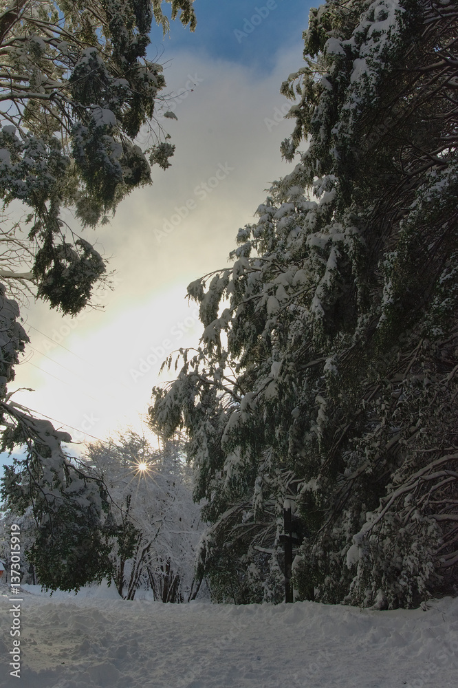 Snow landscape photography of the Llaima volcano in Chile