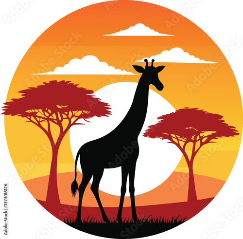 giraffe in the desert