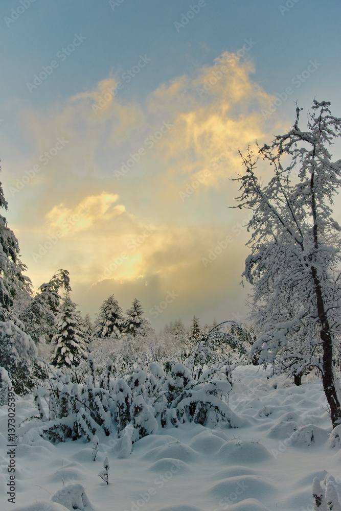 Obraz premium Snow landscape photography of the Llaima volcano in Chile