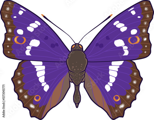 Der Große Schillerfalter besticht durch seine violetten Schuppen und zählt zu den majestätischsten Arten Europas.
