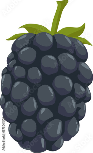 Reife Brombeere mit dunkler Farbe – süß, aromatisch und reich an Antioxidantien.
