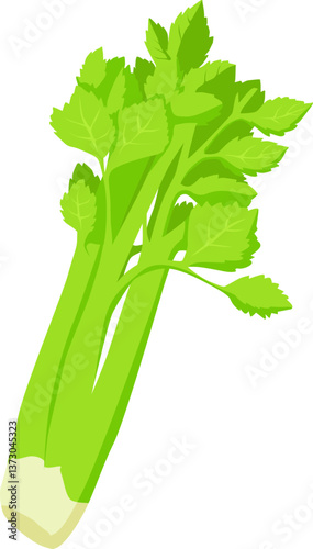 Grüner Stangensellerie mit zarten Blättern – knackig, aromatisch und vielseitig einsetzbar.
