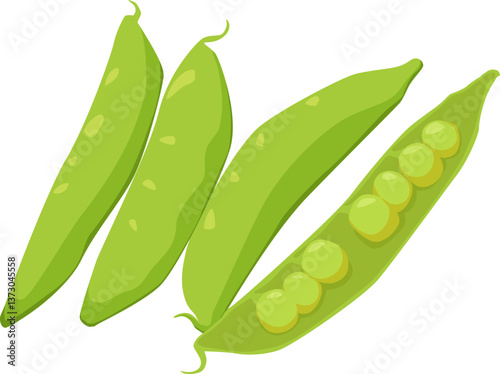 Grüne Erbsenschoten mit geöffnetem Inneren – süß, zart und ideal für Suppen, Salate oder als Beilage.