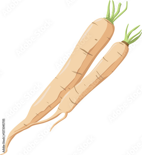 Zwei Daikon-Rettiche mit zarten Blättern – mild, knackig und ideal für asiatische Gerichte oder roh.