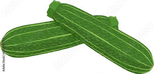 Zwei grüne Zucchini mit feiner Musterung – mild im Geschmack und ideal zum Braten oder Grillen.