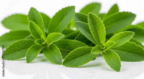 Lush green stevia leaves arrangement presenting natural sweetness and healthy option photo