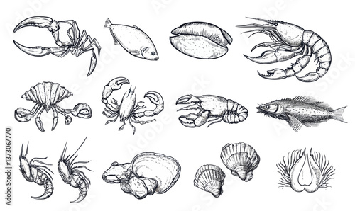 Vintage Seafood Sketch Collection: Fish, Crab, Lobster, Clams, and More for Culinary Designs