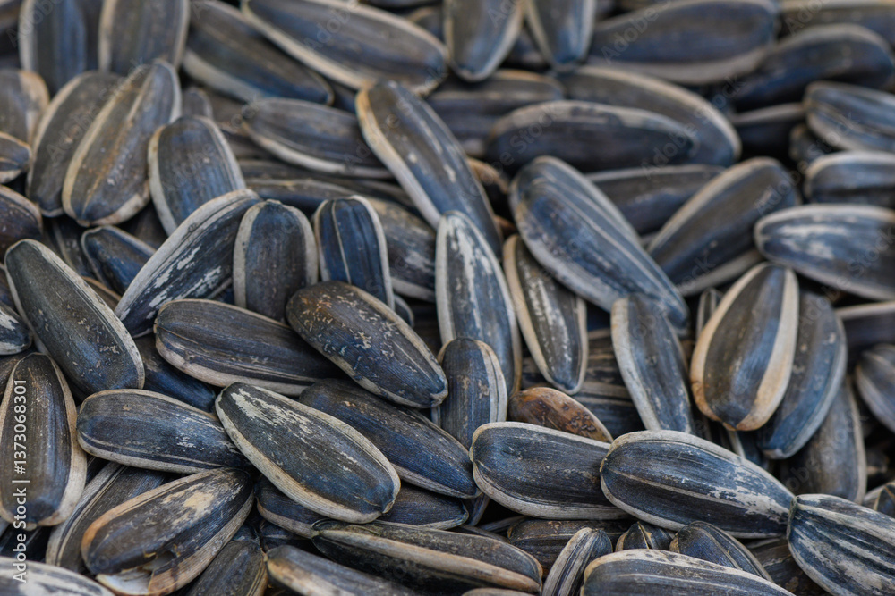 Sunflower seeds scattered in abundance, showcasing their rich textures and colors in a natural setting Sunflower seeds scattered in abundance, showcasing their rich textures and colors in a natural setting