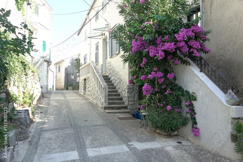 Blumen an einem Haus in Dobrinj, Krk