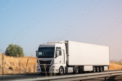 A large European trailer truck drives along a road with a grain field next to it. The truck is white to be able to make a mockup with perosonalized text or logo