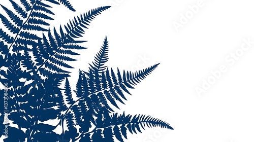 Dark Blue Silhouette Image Of Ferns With White Background