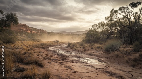 Australian Outback: Dusty Creek Bed under a Stormy Sky