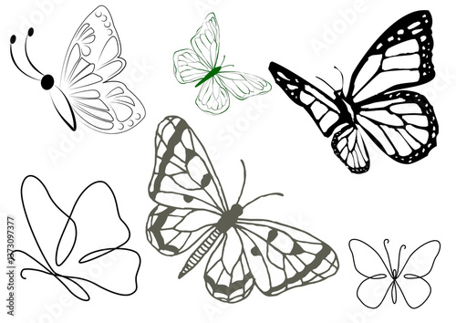 Photography set of butterflies