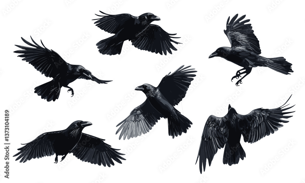 Obraz premium Six black crows in various flight poses on white background - vector